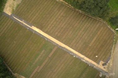 производство и дистрибуция материалов для питомников Польша 20